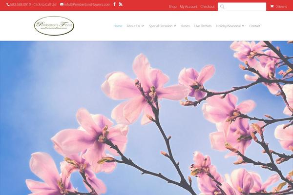 Site using Sg-cachepress plugin