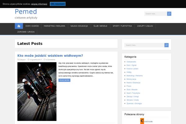 SongWriter theme site design template sample