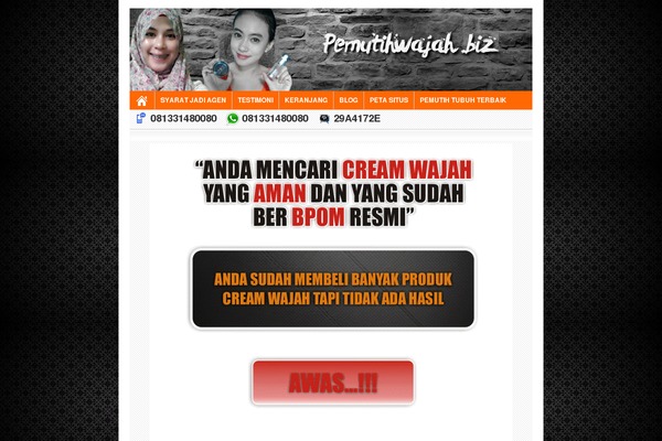 Toko Landing theme site design template sample