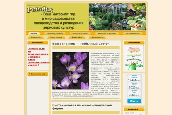 Golden theme site design template sample