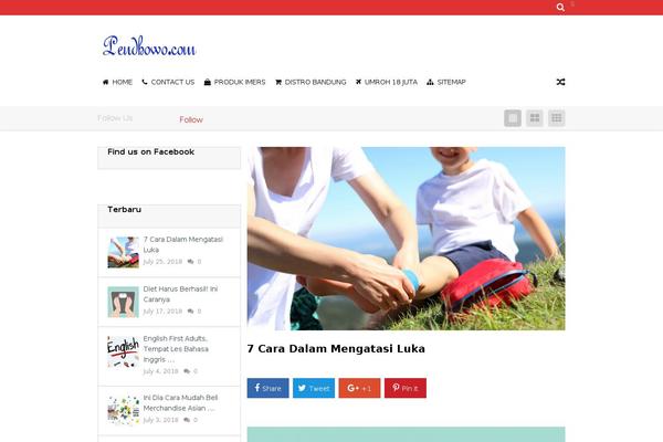 pendhowo.com site used Kreview