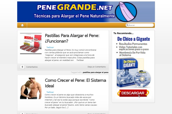 Iblogpro theme site design template sample