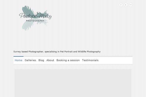 Clean-retina-pro theme site design template sample