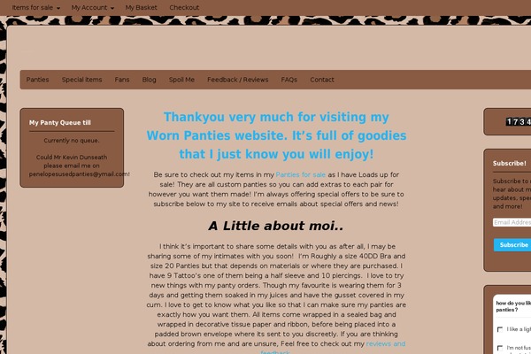 Canvas theme site design template sample