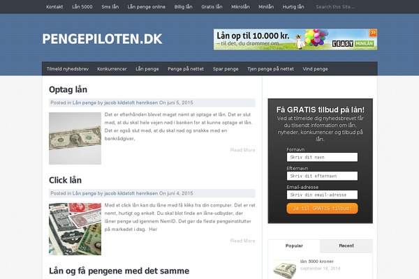 Finance theme site design template sample