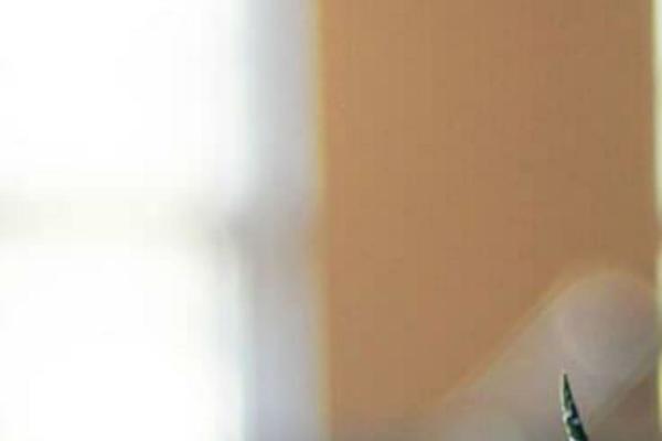 Site using Flying-press plugin