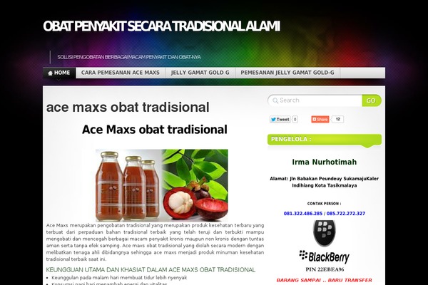 Mystique theme site design template sample