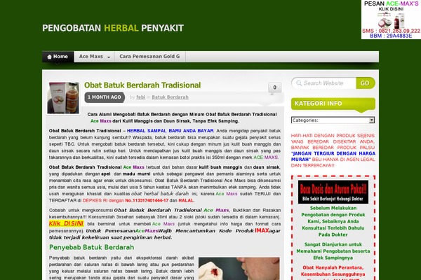 Mystique theme site design template sample