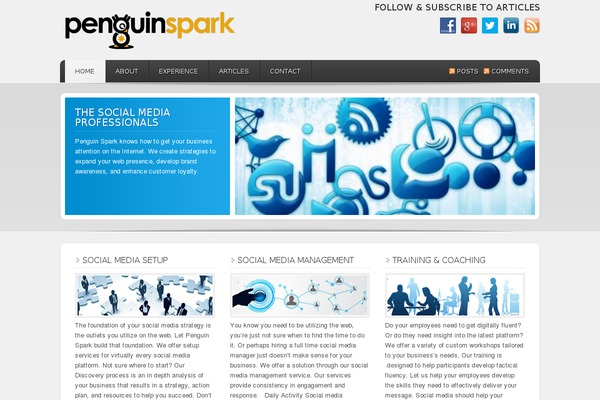 Enterprise theme site design template sample