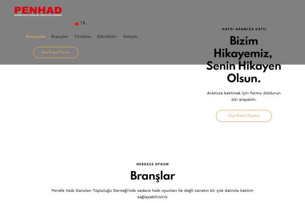 Festy theme site design template sample