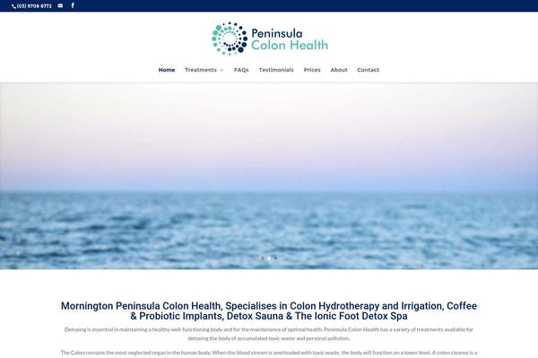 Choices theme site design template sample