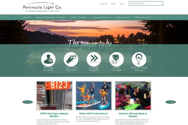 Site using Searchwp plugin