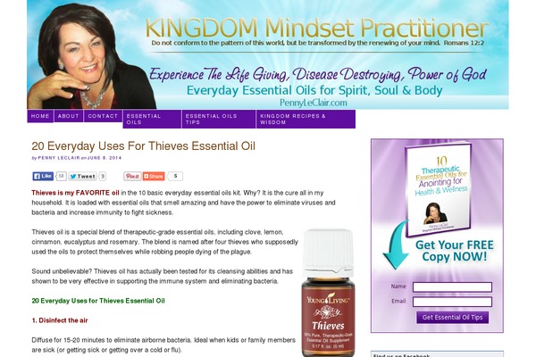 Thesis 1.8.6 theme site design template sample