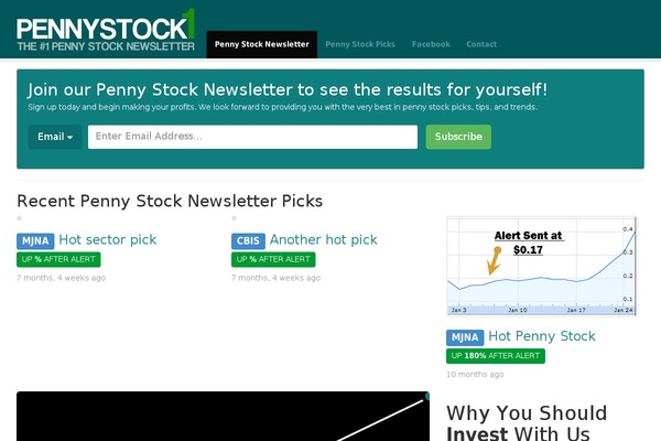 Penny theme site design template sample