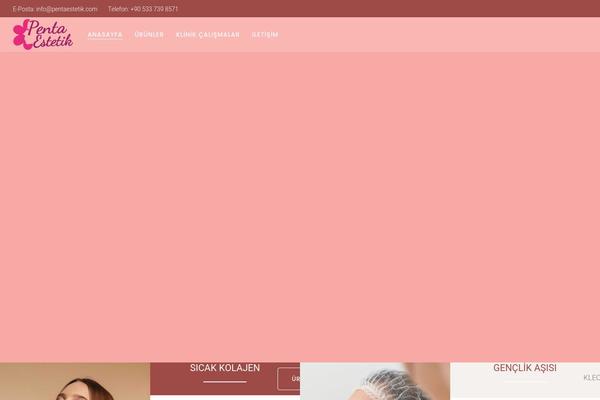 Touchup theme site design template sample