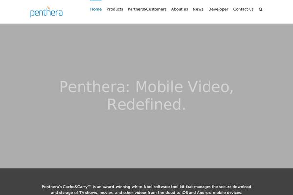 Site using LayerSlider plugin