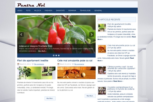pentrunoi.net site used Presshub