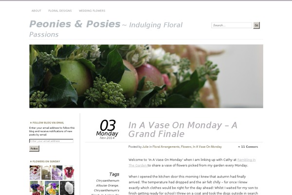 Site using Bluchic-instaview plugin