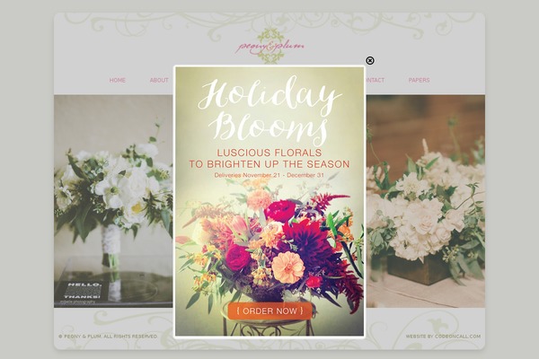 Site using ITRO Popup Plugin plugin