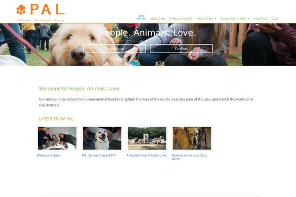 Pal theme site design template sample