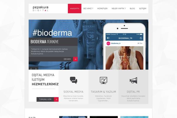 pepakuradigital.com site used Solana