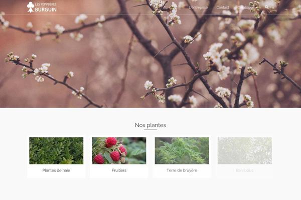 Pinnacle Premium theme site design template sample