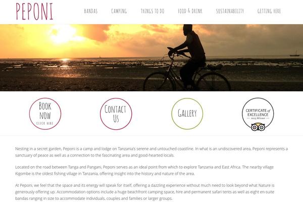 Salient Child theme site design template sample