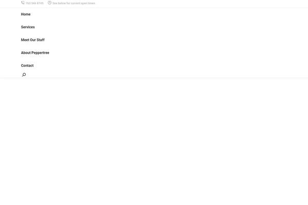 Site using Dt-the7-core plugin