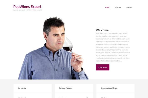 Enterprise Pro theme site design template sample