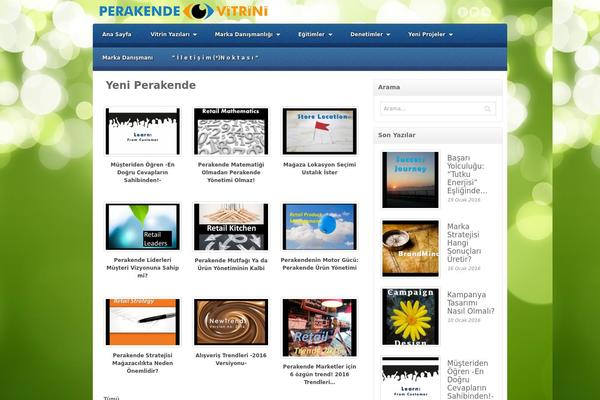 Site using Fanciest-author-box plugin