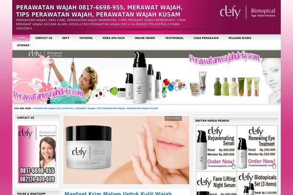 defy theme websites examples