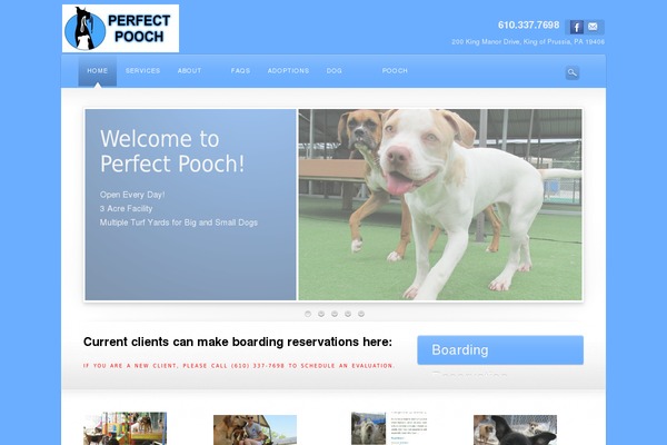 Site using WP Accessibility plugin
