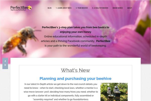 Pressive theme site design template sample