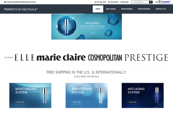 Big Point theme site design template sample