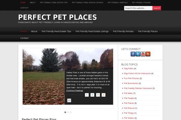 Magazine theme site design template sample