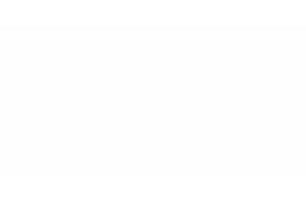 Site using Enlivenem-for-wp plugin