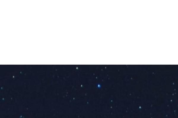 Site using WP Blog and Widget plugin