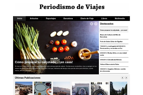 Magazinum theme site design template sample
