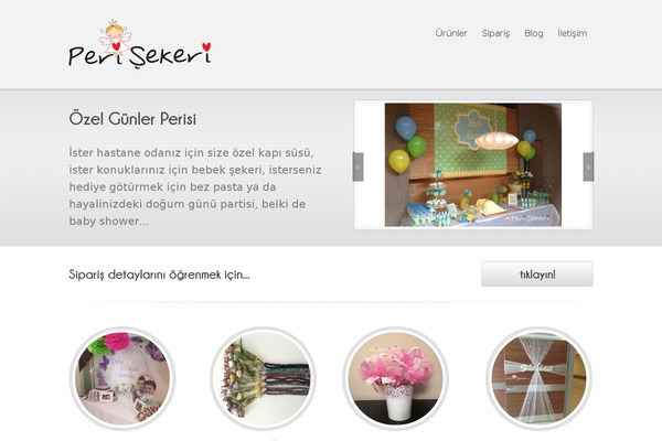 Poloray theme site design template sample