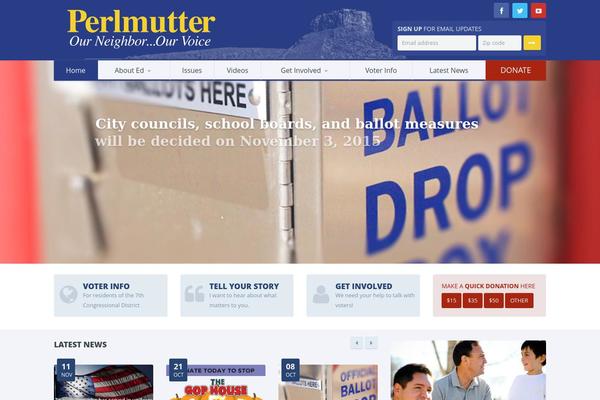 Candidate theme site design template sample
