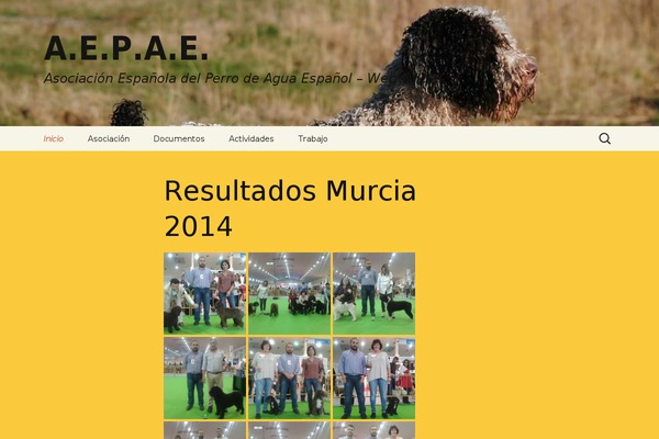 Site using Facebook Likebox Slider by ARScode plugin