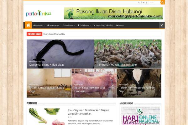 Newspaper Child theme site design template sample