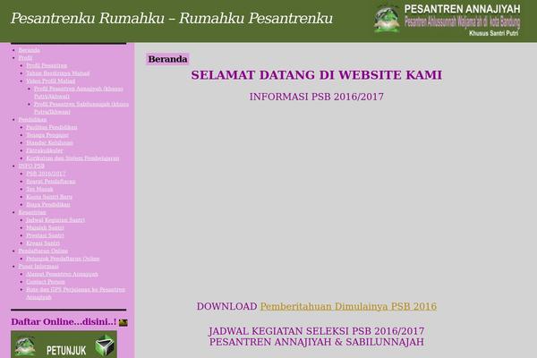 pesantren-annajiyah.com site used Drochilli