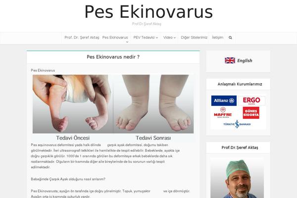 Site using Meks Easy Ads Widget plugin