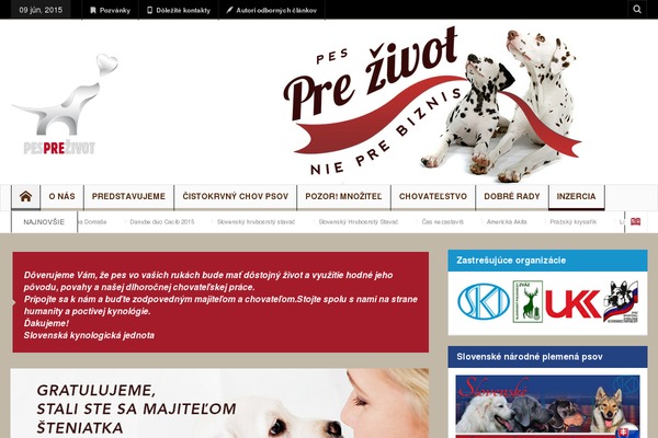Multinews theme site design template sample