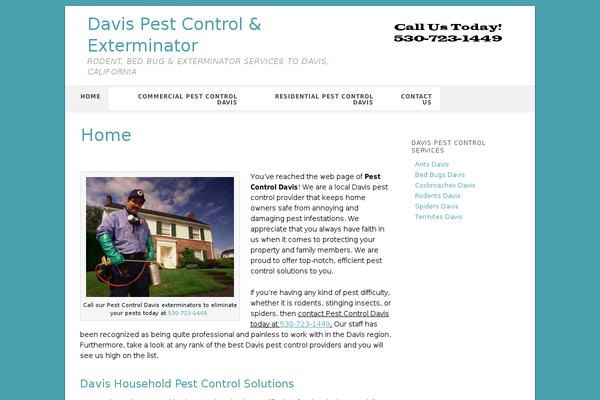 PageLines theme site design template sample