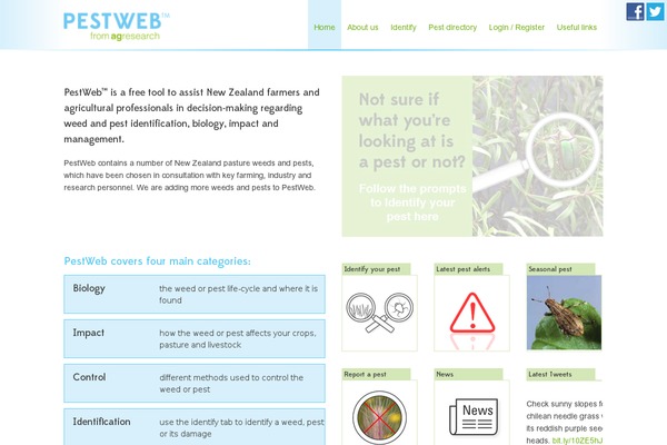 discover theme site design template sample