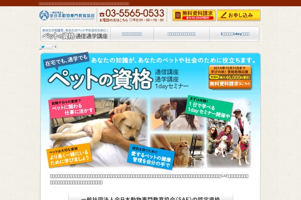 BizVektor theme site design template sample