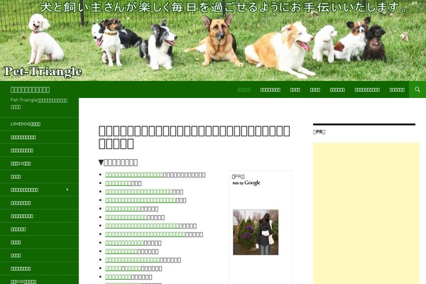 Site using WP show more plugin