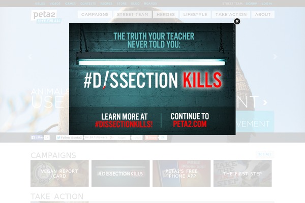 Site using Gamipress plugin